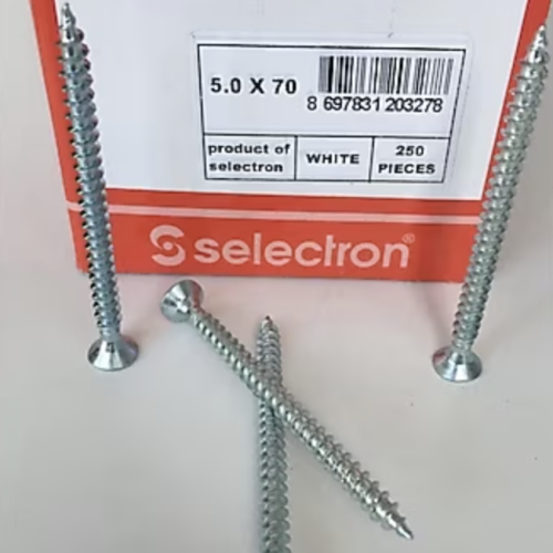 SELECTRON VİDA 250li 5 70 (adet)
