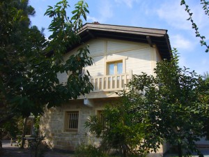ahşap ev demirel evi
