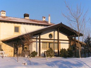 ahşap ev demirel evi