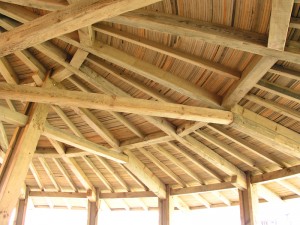 ahşap ev demirel evi