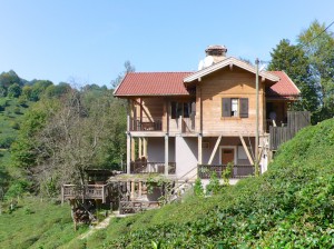 meşe ev rize ahşap