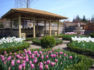 Ahşap Kare Dikdörtgen Çardak Pergola