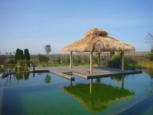 Ahşap Kare Dikdörtgen Çardak Pergola