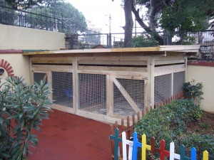Ahşap Köpek Kulübesi