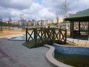 Ahşap Köprü